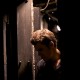 Stefan-Salvatore-s2025