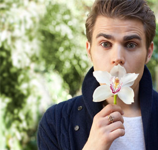 Stefan-TVD-030
