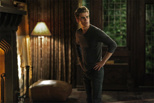Stefan-TVD-058