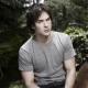 ian-vdg-46