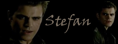 vampire-diaries-banner-41