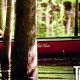 2013 Conde Nast Traveler Visionaries: Ian Somerhalder