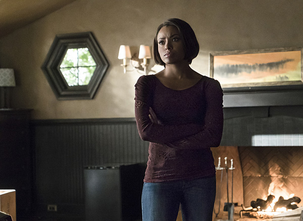 tvd-bird-still-3